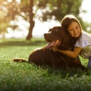 Qual é o cachorro mais dócil? Descubra o amigo perfeito!