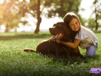 Qual é o cachorro mais dócil? Descubra o amigo perfeito!