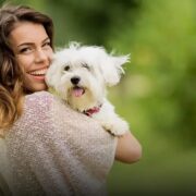 Qual é o cachorro mais inteligente do mundo? Descubra agora!