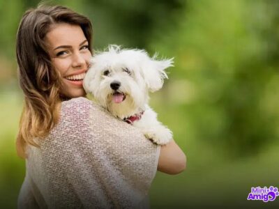 Qual é o cachorro mais inteligente do mundo? Descubra agora!
