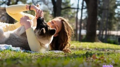 Qual é o cachorro mais lindo do mundo? Descubra agora!