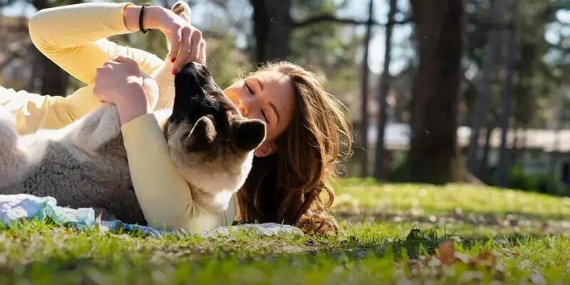 Qual é o cachorro mais lindo do mundo? Descubra agora!