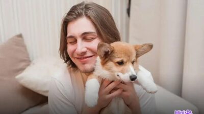 Qual é o cachorro mais querido? Descubra agora mesmo!