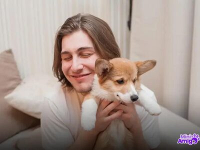 Qual é o cachorro mais querido? Descubra agora mesmo!