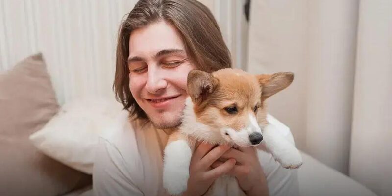 Qual é o cachorro mais querido? Descubra agora mesmo!