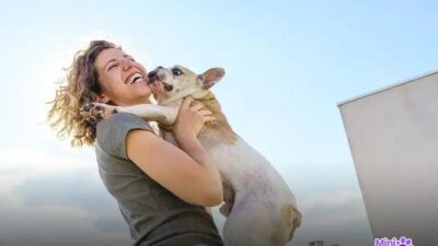 Qual é o cachorro que mais protege o dono?