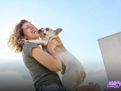 Qual é o cachorro que mais protege o dono?