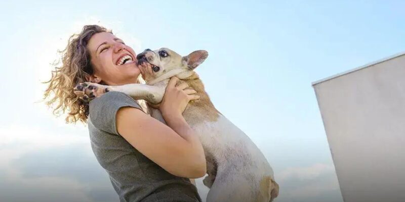 Qual é o cachorro que mais protege o dono?
