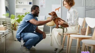 Qual o cão mais rápido? Descubra o campeão das raças!