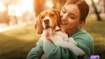 Qual o melhor cachorro para ter em casa? Descubra agora!