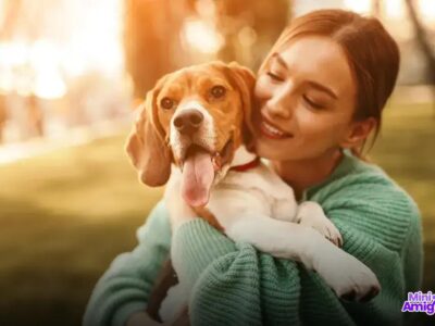 Qual o melhor cachorro para ter em casa? Descubra agora!