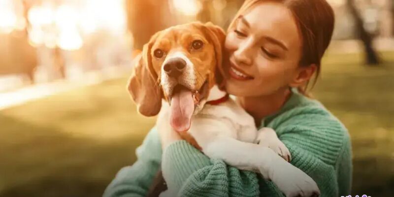 Qual o melhor cachorro para ter em casa? Descubra agora!