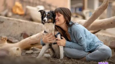 Qual Raça de Cachorro é Melhor para Vigiar a Sua Casa?