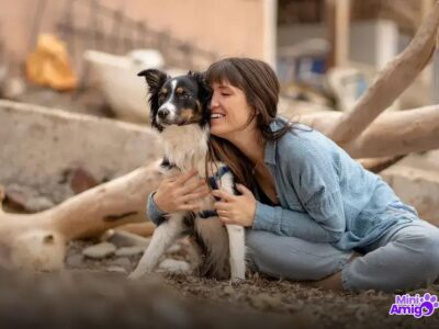 Qual Raça de Cachorro é Melhor para Vigiar a Sua Casa?