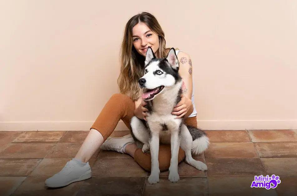 Quantidade ideal de batata para cães Quantidade ideal de batata para cães