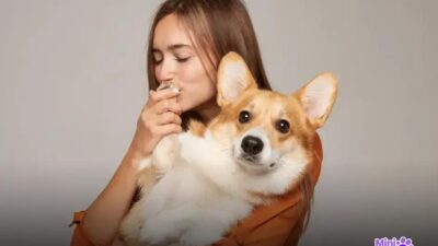 Quantos cachorros existem no mundo em 2024? Descubra a resposta!