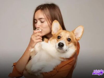 Quantos cachorros existem no mundo em 2024? Descubra a resposta!