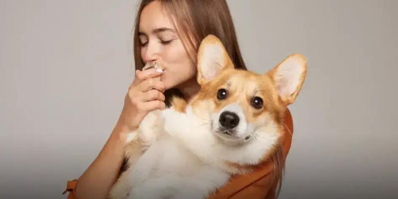 Quantos cachorros existem no mundo em 2024? Descubra a resposta!