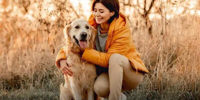 Quem Criou o Cachorro? Descubra a Verdadeira História Agora!
