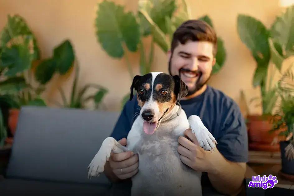 Raças de cães mais adoradas Raças de cães mais adoradas