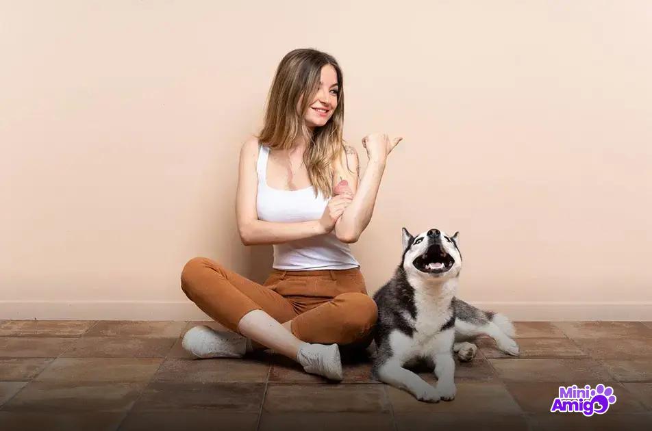 Saúde e doenças comuns em cachorros pequenos Saúde e doenças comuns em cachorros pequenos