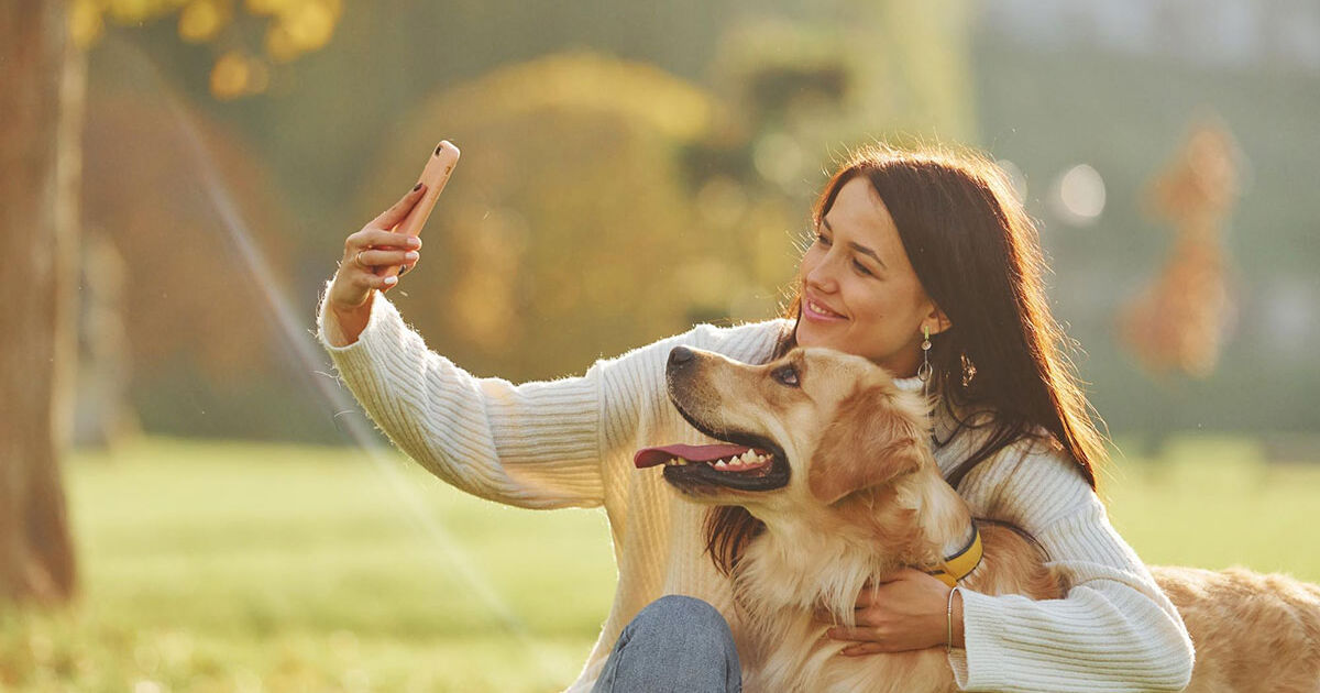 Como Cuidar da Digestão do Cão