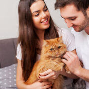 melhor ração para gato castrado no Brasil - Melhor Ração para Gato Castrado no Brasil: Descubra Qual é a Favorita dos Veterinários