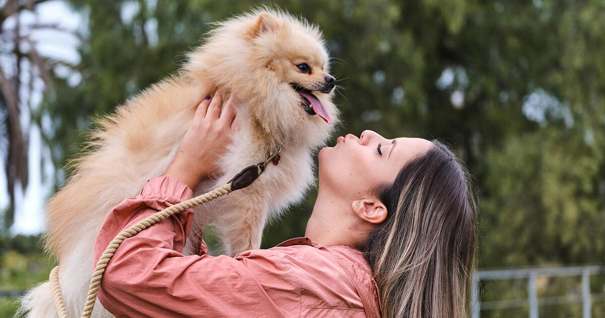 Implicações da Ausência de Apêndice em Cães