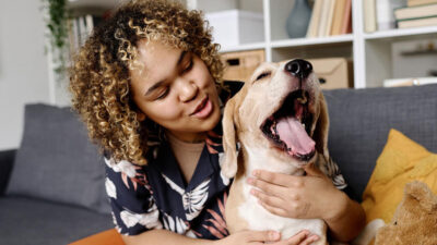 cachorro tem apendice - Cachorro Tem Apêndice? Descubra a Verdade Surpreendente Sobre a Anatomia Canina