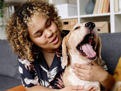 cachorro tem apendice - Cachorro Tem Apêndice? Descubra a Verdade Surpreendente Sobre a Anatomia Canina