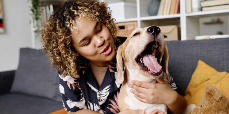 cachorro tem apendice - Cachorro Tem Apêndice? Descubra a Verdade Surpreendente Sobre a Anatomia Canina