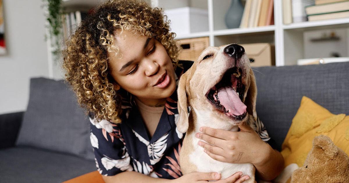 O Sistema Digestivo Canino: Não Precisa de Apêndice