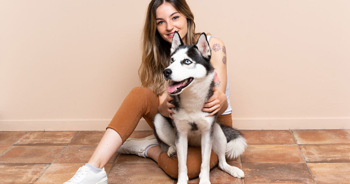 Dicas de adestramento e segurança ao usar coleira em cães grandes Dicas de adestramento e segurança ao usar coleira em cães grandes