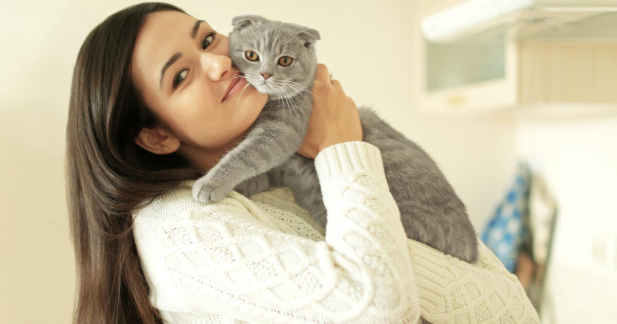 Encerrando o Mistério dos Hábitos Felinos Encerrando o Mistério dos Hábitos Felinos