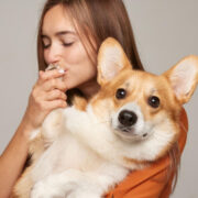 como treinar cachorro para não puxar a coleira - Como treinar cachorro para não puxar a coleira: 7 passos práticos e seguros