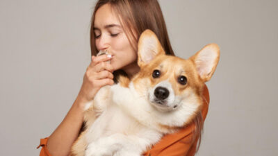 como treinar cachorro para não puxar a coleira - Como treinar cachorro para não puxar a coleira: 7 passos práticos e seguros