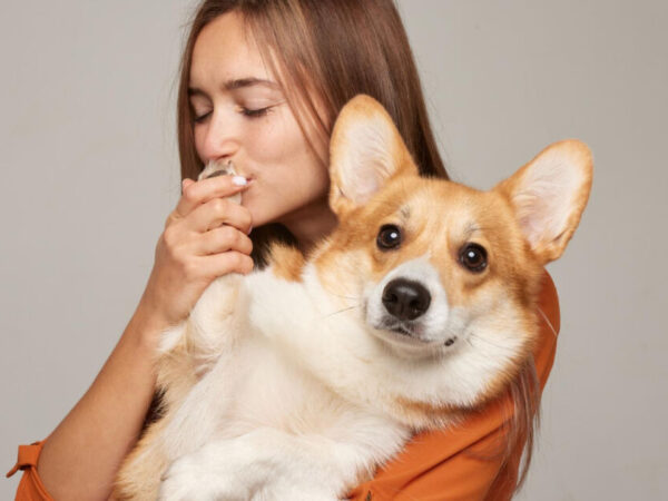 como treinar cachorro para não puxar a coleira - Como treinar cachorro para não puxar a coleira: 7 passos práticos e seguros