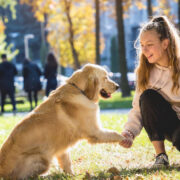 melhor coleira para cachorro de grande porte - 7 Melhores Coleiras para Cachorro de Grande Porte: Segurança e Conforto em 2025