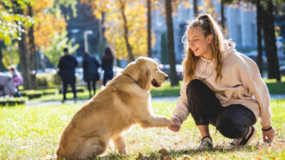 melhor coleira para cachorro de grande porte - 7 Melhores Coleiras para Cachorro de Grande Porte: Segurança e Conforto em 2025