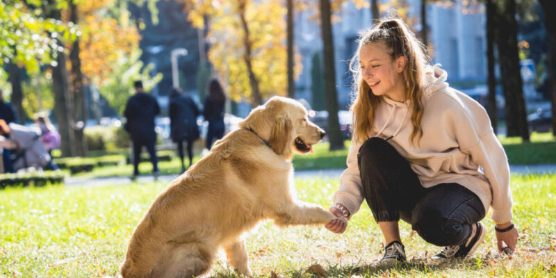 melhor coleira para cachorro de grande porte - 7 Melhores Coleiras para Cachorro de Grande Porte: Segurança e Conforto em 2025