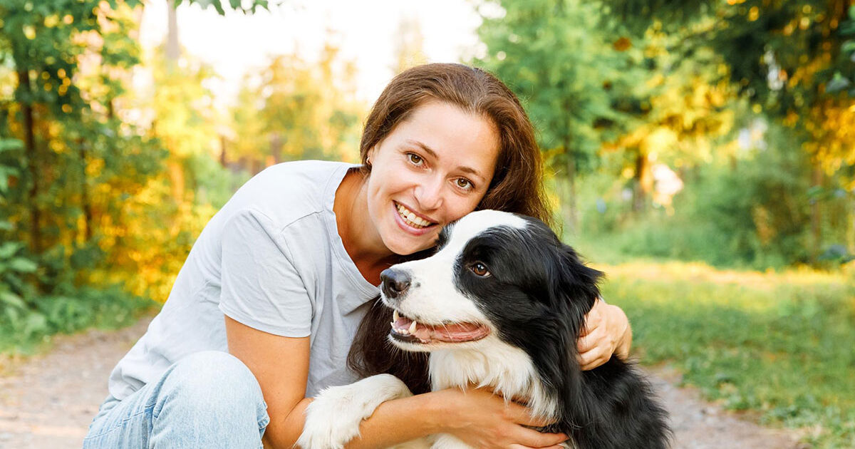 O que considerar ao escolher uma ração barata e nutritiva para cães O que considerar ao escolher uma ração barata e nutritiva para cães