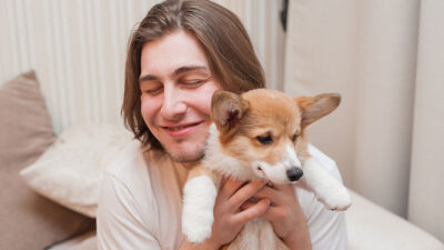 cachorro tem apendicite - Cachorro tem apendicite? Guia completo de sintomas, causas e cuidados
