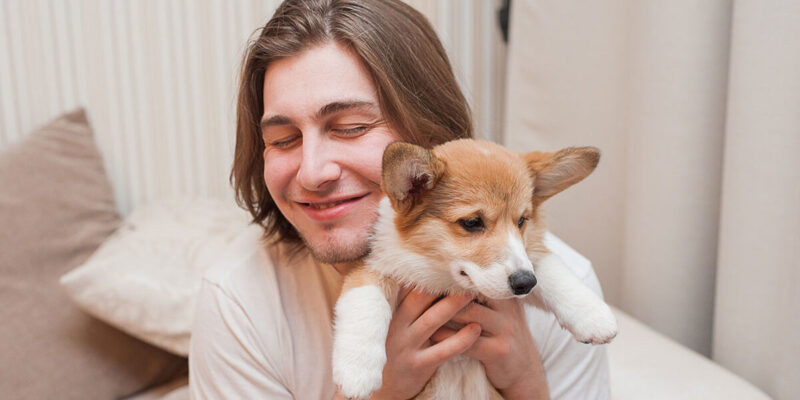 cachorro tem apendicite - Cachorro tem apendicite? Guia completo de sintomas, causas e cuidados