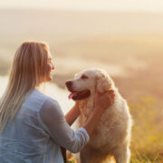 dicas para cachorro parar de latir excessivamente - 7 dicas para cachorro parar de latir excessivamente e trazer mais tranquilidade