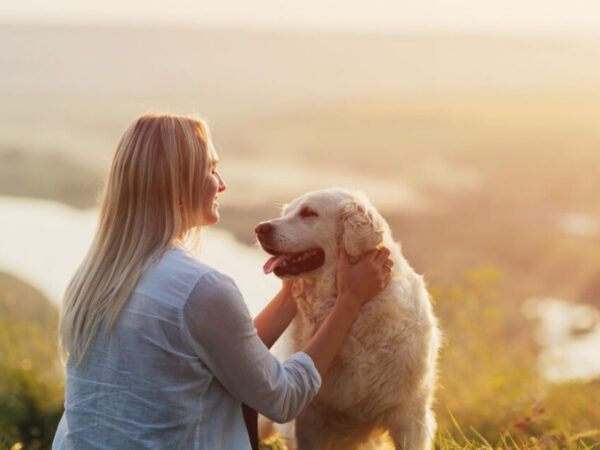 dicas para cachorro parar de latir excessivamente - 7 dicas para cachorro parar de latir excessivamente e trazer mais tranquilidade