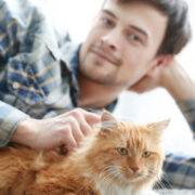 por que o gato faz xixi fora da caixa - Por que Seu Gato Faz Xixi Fora da Caixa? Descubra as Razões Ocultas!