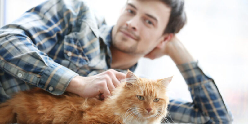 por que o gato faz xixi fora da caixa - Por que Seu Gato Faz Xixi Fora da Caixa? Descubra as Razões Ocultas!