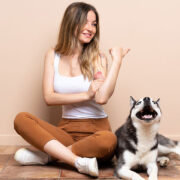 como treinar cachorro para sentar - Como treinar cachorro para sentar: Guia Completo Passo a Passo em 2025