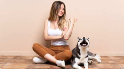 como treinar cachorro para sentar - Como treinar cachorro para sentar: Guia Completo Passo a Passo em 2025