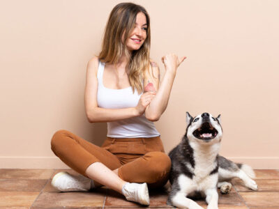 como treinar cachorro para sentar - Como treinar cachorro para sentar: Guia Completo Passo a Passo em 2025
